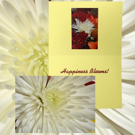 白いキクの花の写真 カード