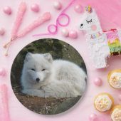 白いキツネ写真 ペーパープレート (パーティー)