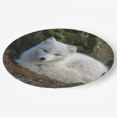 白いキツネ写真 ペーパープレート (アングル)