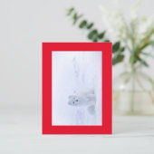 白いキツネ ポストカード (スタンド正面)