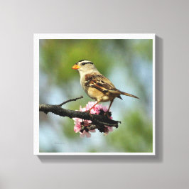 白いキャップ付き雀 キャンバスプリント