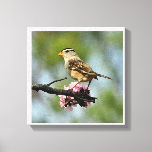 白いキャップ付き雀 キャンバスプリント (正面)