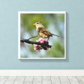 白いキャップ付き雀 キャンバスプリント (インサイチュ (ウッドフロア))