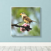 白いキャップ付き雀 キャンバスプリント (インサイチュ (ウッドフロア))