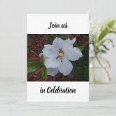 白いクチナシの花が近くに咲く写真 招待状 (スタンド正面)