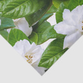 白いクチナシの花と緑   薄葉紙 (詳細)