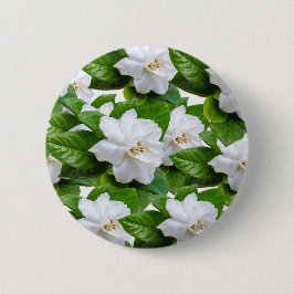 白いクチナシの花 缶バッジ