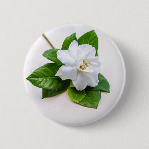 白いクチナシの花 缶バッジ