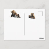 白いクマの子どもを持つアラスカのはがき ポストカード (裏面)