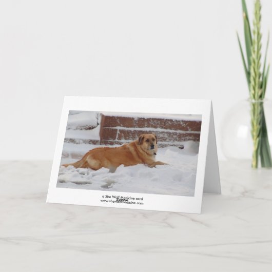 白いクリスマスの雪の天使を夢見るかわいい女 シーズンカード (裏面)