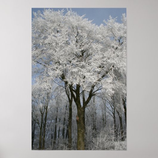 白いクリスマス ポスター (正面)