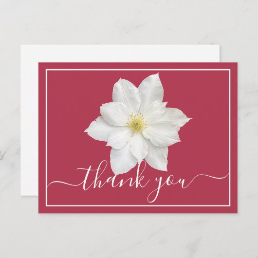 白いクレマチスの花、真っ赤な背景、ありがとうございます ポストカード (正面/裏面)