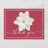 白いクレマチスの花、真っ赤な背景、ありがとうございます ポストカード (正面)
