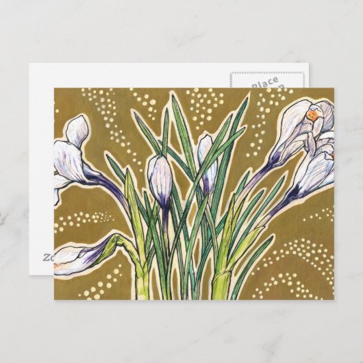 白いクロッカスの庭の花 ボタニカル フラワール アート ポストカード (正面/裏面)