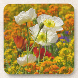白いケシのまわりにがカラフル花を育てる コースター