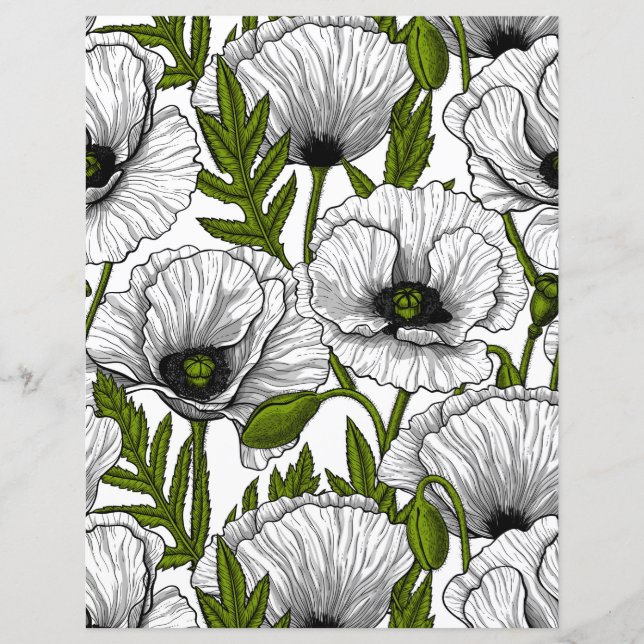 白いケシの上の白いケシ (正面)