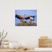 白いコウノトリが巣に乗っている ポスター (キッチン)