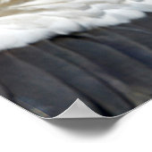 白いコウノトリを閉じる ポスター (角)