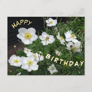 白いコキアの花の美しい誕生日ポストカード ポストカード