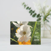 白いコスモの花の回復おめでとうカード ポストカード (スタンド正面)