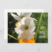 白いコスモの花の回復おめでとうカード ポストカード (正面/裏面)