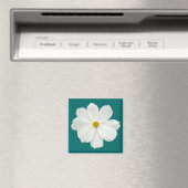 白いコスモスの花 マグネット (インサイチュ (食洗機))