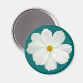 白いコスモスの花 マグネット (正面/裏面)