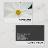 白いコスモスの花 名刺 (正面/裏面)