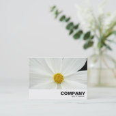 白いコスモスの花 名刺 (スタンド正面)