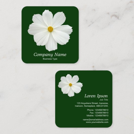 白いコスモス – ダークグリーン スクエア名刺 (正面/裏面)