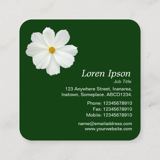 白いコスモス – ダークグリーン スクエア名刺 (裏面)