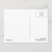 白いコスモス ポストカード (裏面)