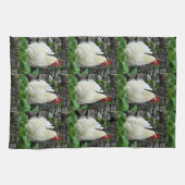 白いコッケレ キッチンタオル (横)