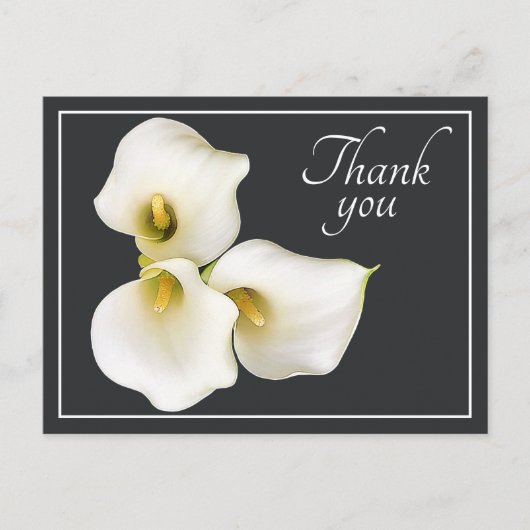 白いコラリリイ3本 グレー背景 ありがとう ポストカード (正面)