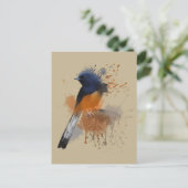 白いゴロゴロしたシャマバード ポストカード (スタンド正面)