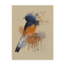 白いゴロゴロしたシャマバード