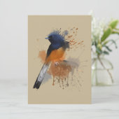 白いゴロゴロしたシャマバード 招待状 (スタンド正面)