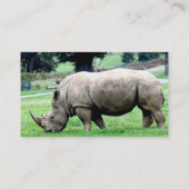 白いサイの名刺を牧草を食べること 名刺 (裏面)