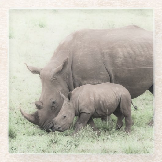 白いサイ及びベビーガラスのコースター ガラスコースター (正面)