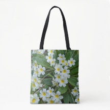 白いサクラソウの花