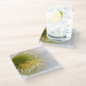 白いサボテンの開花 ガラスコースター (アングル)