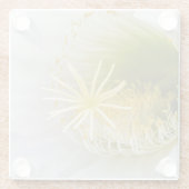 白いサボテンの開花 ガラスコースター (裏面)