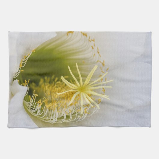 白いサボテンの開花 キッチンタオル (横)