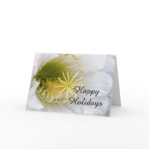 白いサボテンの開花