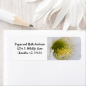 白いサボテンの開花 ラベル (インサイチュ)