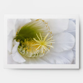 白いサボテンの開花 封筒