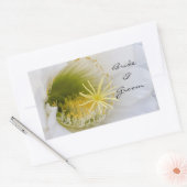 白いサボテンの開花 長方形シール (封筒)