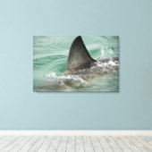 白いサメの背素晴らし側の側板 キャンバスプリント (インサイチュ (ウッドフロア))