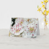 白いサンザシの花グリーティングカード カード (黄色い花)