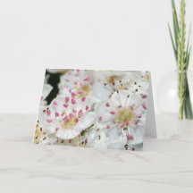 白いサンザシの花グリーティングカード